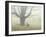 Winter Mist-Michael Budden-Framed Giclee Print