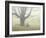 Winter Mist-Michael Budden-Framed Giclee Print