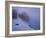 Winter Mist-Bruce Dumas-Framed Giclee Print