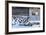 Winter Mood in Canton of Grisons-Armin Mathis-Framed Photographic Print