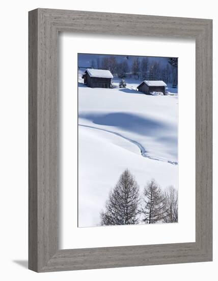 Winter Mood in Grisons Feldis-Armin Mathis-Framed Photographic Print