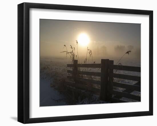 Winter Mood-Alida Van Zaane-Framed Photographic Print