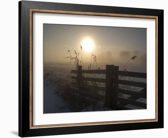 Winter Mood-Alida Van Zaane-Framed Photographic Print