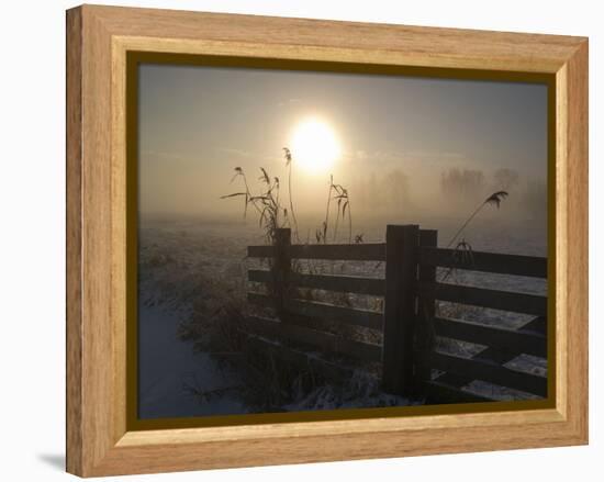 Winter Mood-Alida Van Zaane-Framed Premier Image Canvas