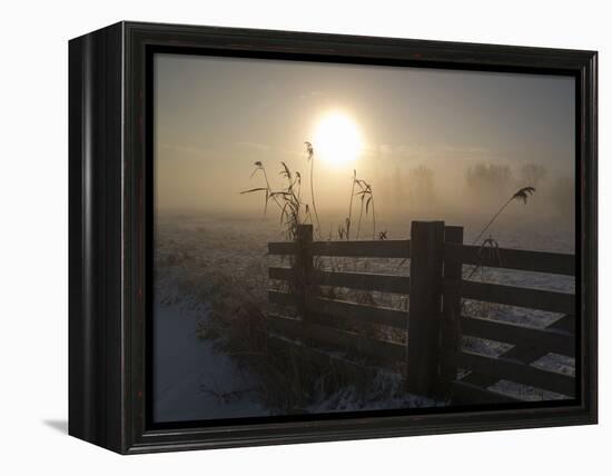 Winter Mood-Alida Van Zaane-Framed Premier Image Canvas