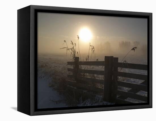 Winter Mood-Alida Van Zaane-Framed Premier Image Canvas