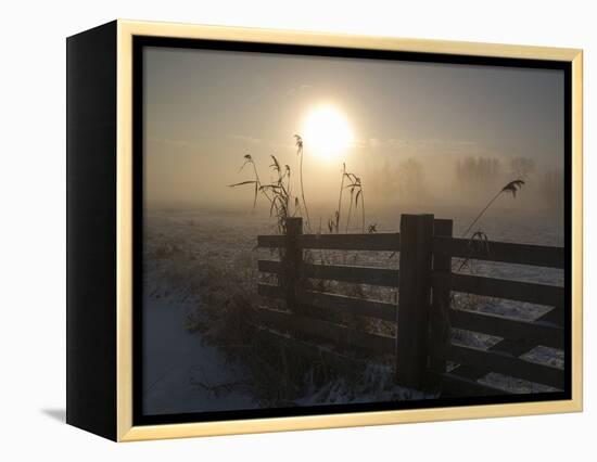 Winter Mood-Alida Van Zaane-Framed Premier Image Canvas