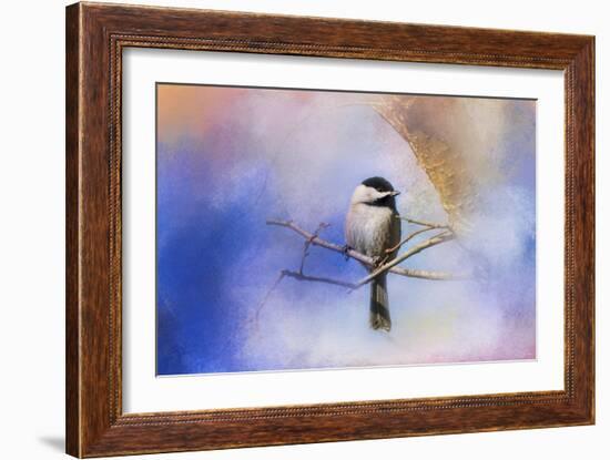 Winter Morning Chickadee-Jai Johnson-Framed Giclee Print