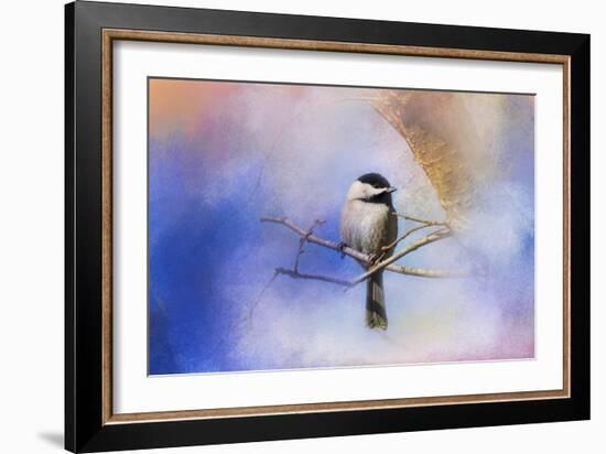 Winter Morning Chickadee-Jai Johnson-Framed Giclee Print