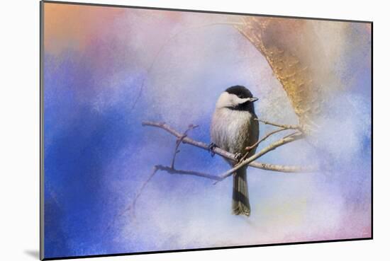 Winter Morning Chickadee-Jai Johnson-Mounted Giclee Print