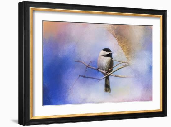 Winter Morning Chickadee-Jai Johnson-Framed Giclee Print