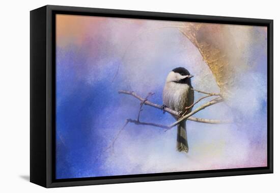 Winter Morning Chickadee-Jai Johnson-Framed Premier Image Canvas