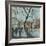 Winter Morning - Whitehall, London-Susan Brown-Framed Giclee Print