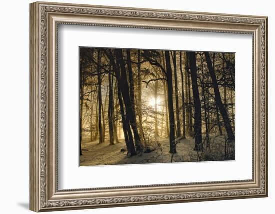 winter morning-Norbert Maier-Framed Photographic Print