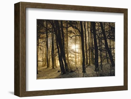 winter morning-Norbert Maier-Framed Photographic Print