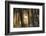 winter morning-Norbert Maier-Framed Photographic Print