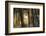 winter morning-Norbert Maier-Framed Photographic Print