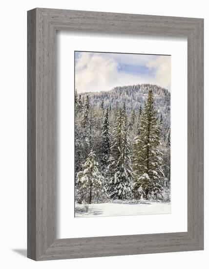 Winter mountain scene, Montana-Adam Jones-Framed Photographic Print