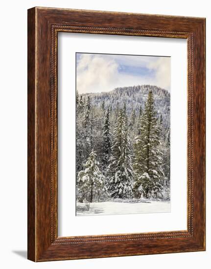 Winter mountain scene, Montana-Adam Jones-Framed Photographic Print