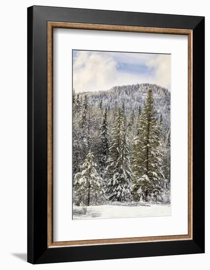 Winter mountain scene, Montana-Adam Jones-Framed Photographic Print