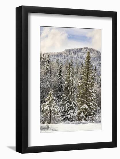 Winter mountain scene, Montana-Adam Jones-Framed Photographic Print