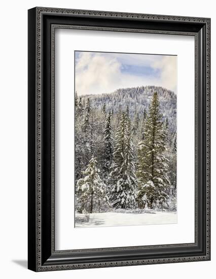 Winter mountain scene, Montana-Adam Jones-Framed Photographic Print