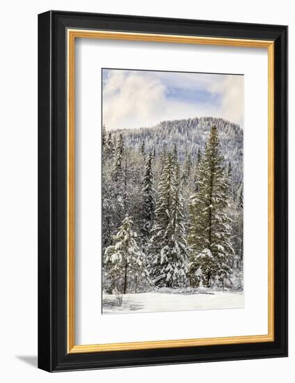 Winter mountain scene, Montana-Adam Jones-Framed Photographic Print