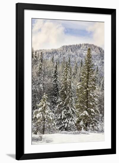 Winter mountain scene, Montana-Adam Jones-Framed Premium Photographic Print