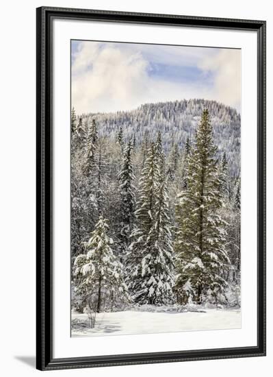 Winter mountain scene, Montana-Adam Jones-Framed Premium Photographic Print