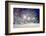 Winter Night Landscape - Evening in the Night Snowy Park with Benches under Snowfall-Marina Zezelina-Framed Photographic Print