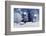 Winter Night Landscape Scene of Snow Covered Bench among Snowy Trees and Shining Lights during Snow-Marina Zezelina-Framed Photographic Print