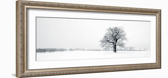 Winter Oaks-Joseph Eta-Framed Giclee Print