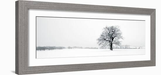 Winter Oaks-Joseph Eta-Framed Giclee Print