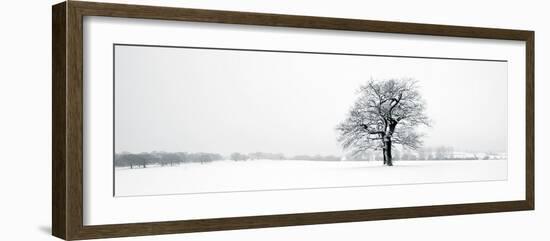 Winter Oaks-Joseph Eta-Framed Giclee Print
