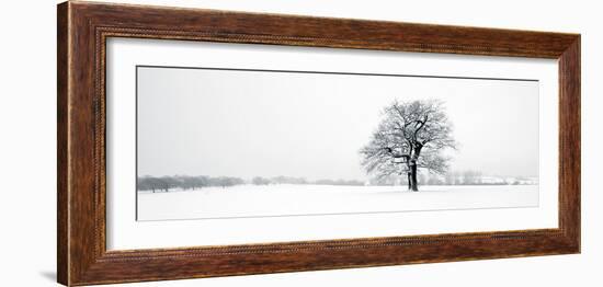 Winter Oaks-Joseph Eta-Framed Giclee Print