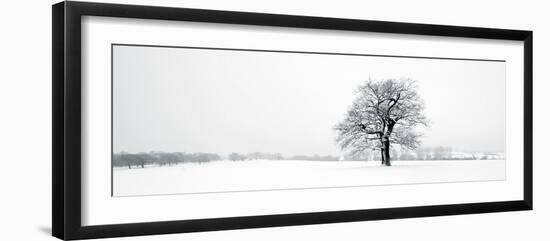 Winter Oaks-Joseph Eta-Framed Giclee Print