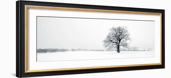 Winter Oaks-Joseph Eta-Framed Giclee Print