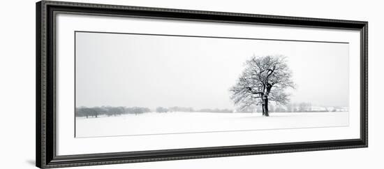 Winter Oaks-Joseph Eta-Framed Giclee Print