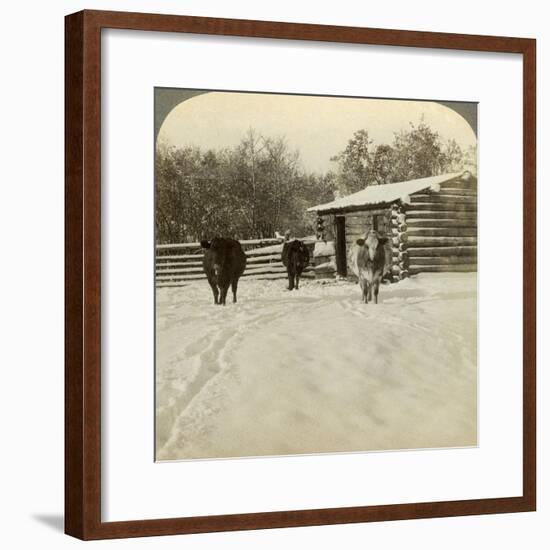 Winter on a Ranch, Montana, Usa-Underwood & Underwood-Framed Photographic Print