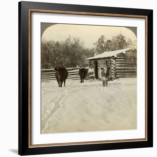 Winter on a Ranch, Montana, Usa-Underwood & Underwood-Framed Photographic Print