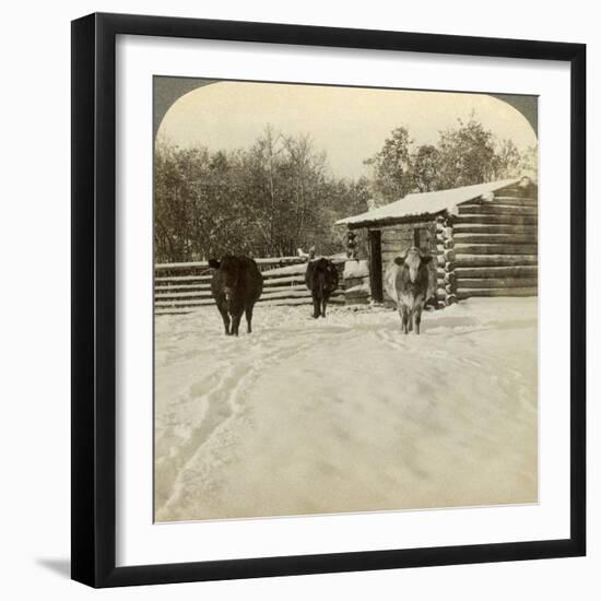 Winter on a Ranch, Montana, Usa-Underwood & Underwood-Framed Photographic Print