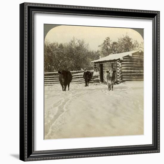 Winter on a Ranch, Montana, Usa-Underwood & Underwood-Framed Photographic Print