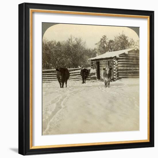 Winter on a Ranch, Montana, Usa-Underwood & Underwood-Framed Photographic Print