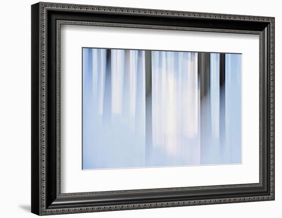 Winter on Dead Horse Lane-Ursula Abresch-Framed Photographic Print