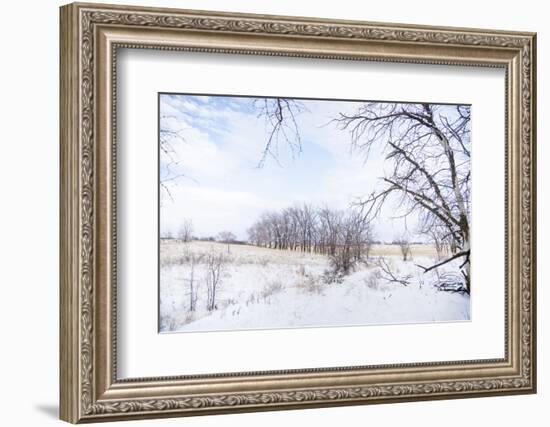 Winter on Texas Ranch-Larry Ditto-Framed Photographic Print