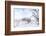 Winter on Texas Ranch-Larry Ditto-Framed Photographic Print