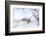 Winter on Texas Ranch-Larry Ditto-Framed Photographic Print