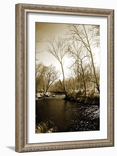 Winter on the Neuse River-Alan Hausenflock-Framed Photographic Print