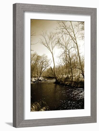 Winter on the Neuse River-Alan Hausenflock-Framed Photographic Print