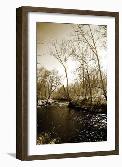 Winter on the Neuse River-Alan Hausenflock-Framed Photographic Print